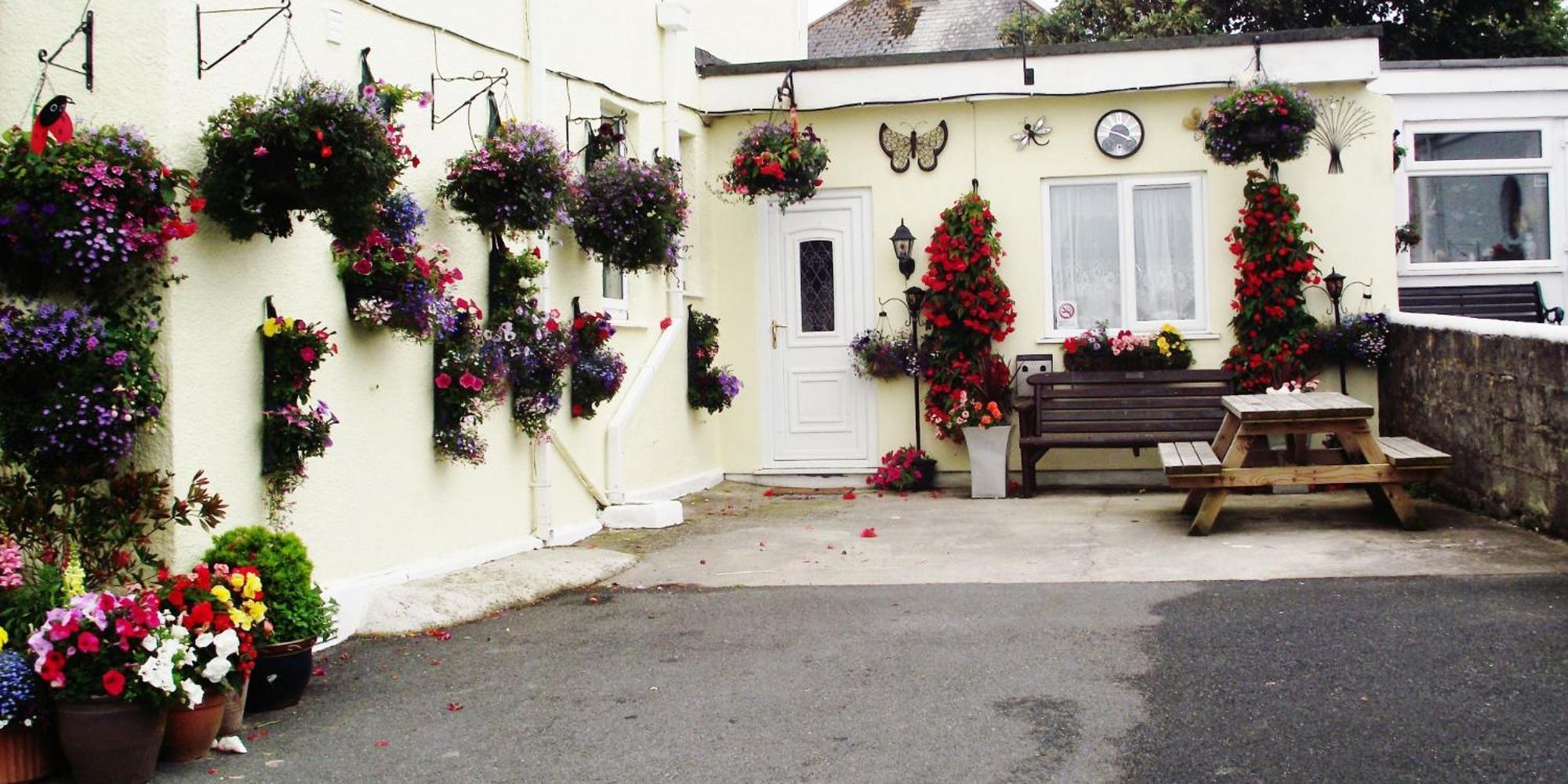 Bed and Breakfast Jasmine House New Quay Esterno foto