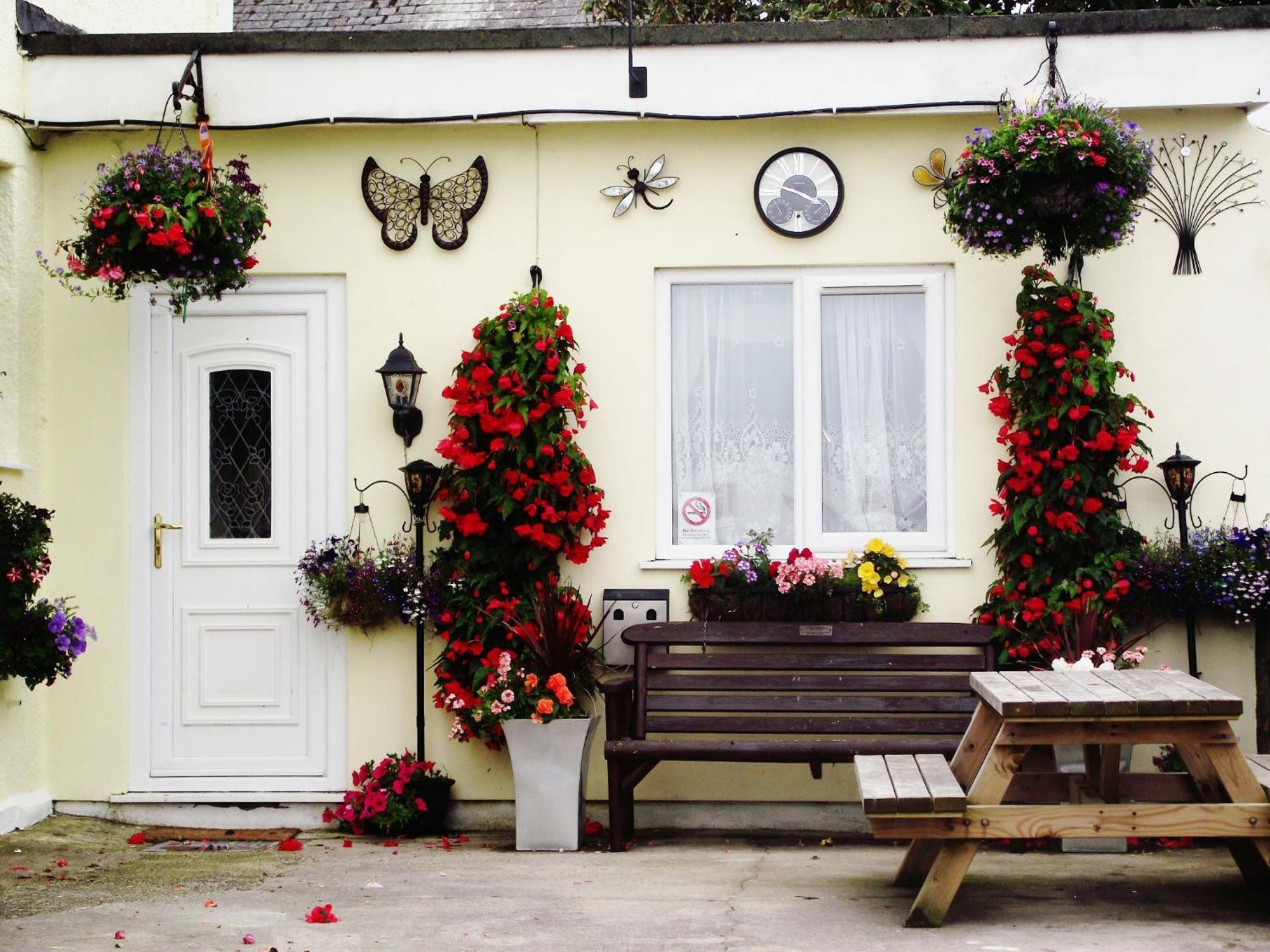 Bed and Breakfast Jasmine House New Quay Esterno foto